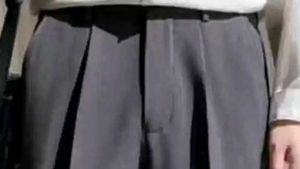 Pleated Korean pants