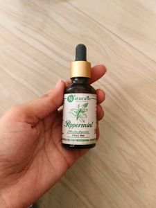 At Low Price✨Peppermint Essential Oil