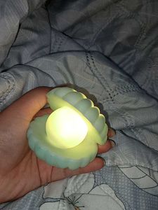 Clam Shell Night Light