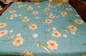 Pack Of 1 Only Bedsheet No Pillow New Cash Price