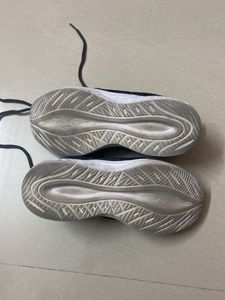 Asian Sport Shoes