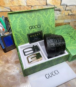 Gucci 2 Buckle Belt First Copy
