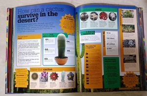 Know It All Book