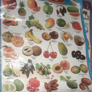 Hindi Varnamala, Vegetables Fruits Animals Chart