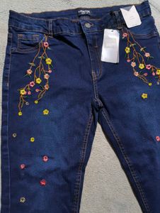Floral Embroidered low rise skinnyJeans