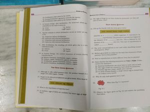 NCERT Class 8 Science &amp; Maths Textbook With Exemplar