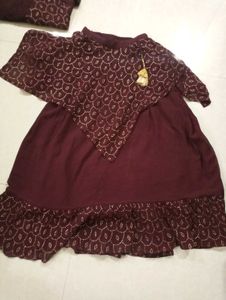 Indo western Dress Crop Top With  Straight Lehenga