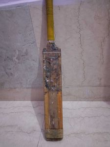 Mark Premium 1000 Cricket Bat