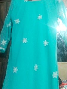 Chicken Kurta