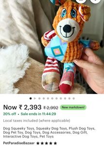 Dog Squeeky Toys