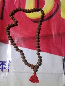 This is Rudraksh Mala