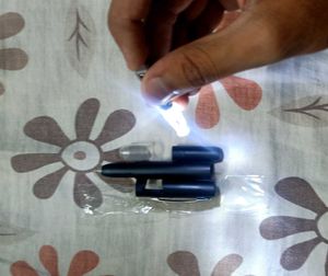 Capgemini Flashlight Pen