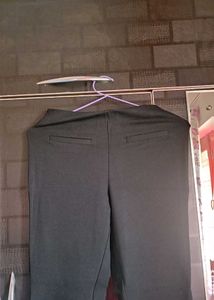 Sassafras Bootcut Trouser For Women