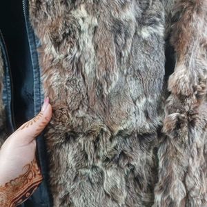 Luxurious Imported Fur Coat