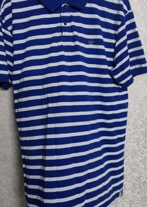 Men T SHIRT