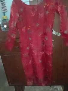 Plazo Suit Aur Organza