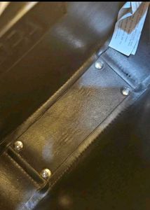 Zara Snake Print Bag