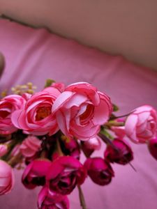 Pink Roses Bunches 2