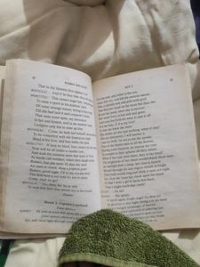 2Novels Sherlock Holmes&amp;Romeo &amp; Juliet Book