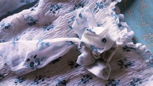 White And Blue Top