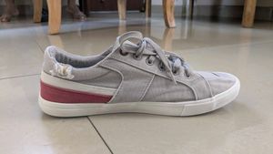 US polo Gray Sneakers with Red Accent