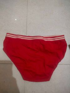 Panty