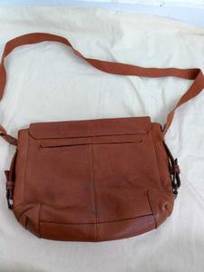 Zara Man (Authentic) Genuine Leather
