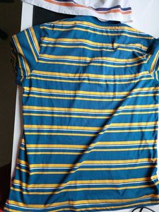 Striped Polo Shirts - Peter England