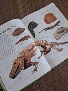 Ultimate Visual Encyclopedia