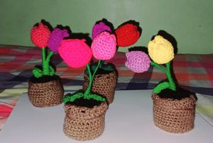 Small Tulips Flower Pots