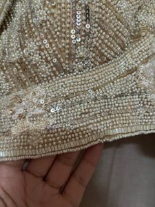 Falguni Shane Peacock Full Hand Beaded Work Blouse
