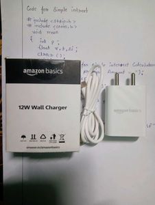 Amazon Basics 12 Watt Fast Charger