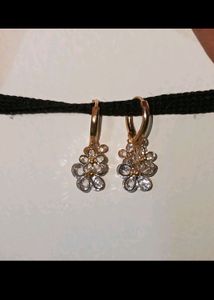 ₹250/- Earrings