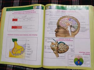 Bioimagica Textbook