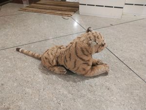 Combo - Tiger  + Tedy Bear + Doll