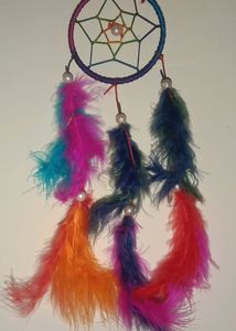 Dream Catcher/Wall Hanging/Decoration
