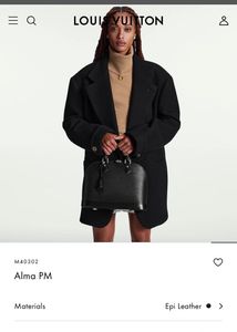 Louis Vuitton LV Black Bag