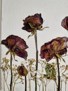 3D Real Rose Art on Canvas Board