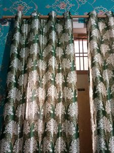 Newly Curtan Best Colour