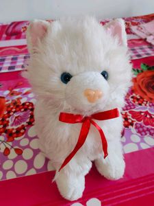 Cat Soft Toy 🐱