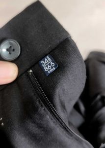 Branded Straight Fit Pant
