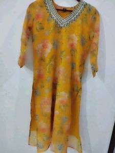 Beautiful Organza Type Suit