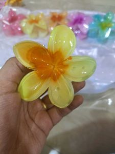 Cute Flower Hair Claw Clip (Set Of 5)