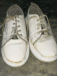 Sneaker Shoes
