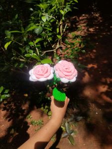 2 crochet double shaded roses