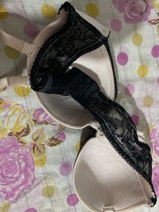Padded Bra