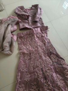 Embroidered Lehenga Choli