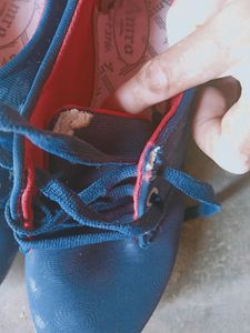 Casual Shoes For Women