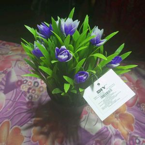 Flower Pot