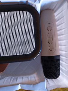 Foldable Speaker